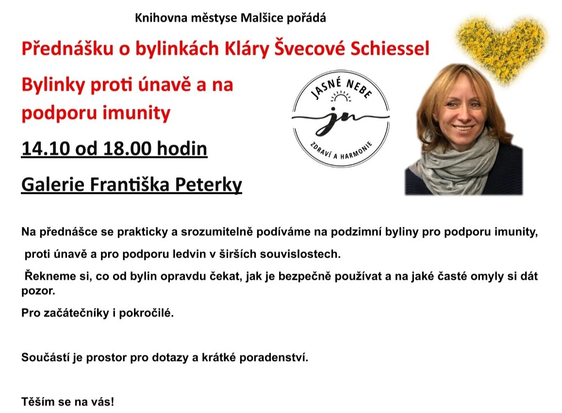 ikona článku